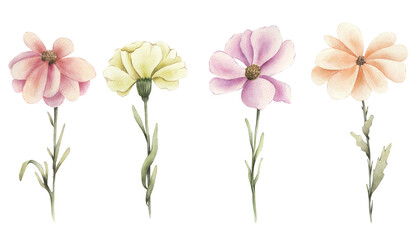 set of watercolor elements color