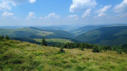 Obraz premium Serene sunrise over vibrant alpine meadows filled with colorful wildflowers and coniferous trees