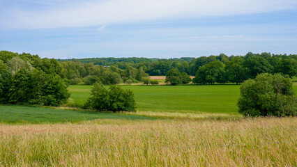 A beautiful green field with a forest in Sweden, swedish countryside. Skåne County, Swedish village countryside
