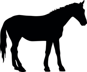 Black Horse Silhouette EPS Clipart - Printable Cricut Vector Design