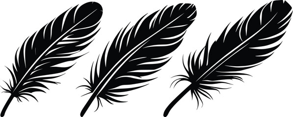 Obraz premium Minimalist Black Silhouette Feather set On White Background