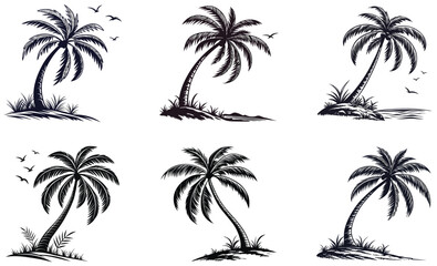 Fototapeta premium Hand-Drawn Palm Tree Illustrations Tropical Beach and Island Silhouettes Vector Set
