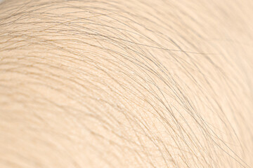 Beauty is in the eye of the beholder, and arm hair is a unique charm
