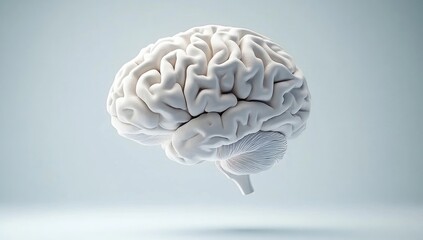 Surreal White Brain Floating in Minimalistic Space with Soft Lighting and Gradient Blue Background