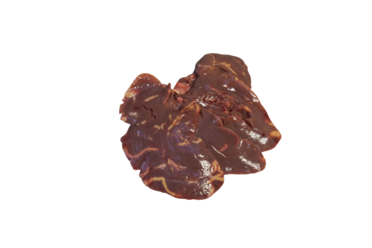 animal liver disease isolated, liver of a sick rabbit on a white background