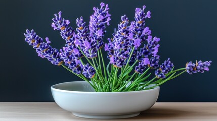 Fototapeta premium Fresh Lavender Bouquet in White Ceramic Bowl on Wooden Table Against Dark Background