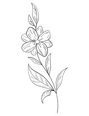 tiny wild flowers and plants line art botanical illustrations. Trendy greenery hand draw lines black ink sketches. vector illustration