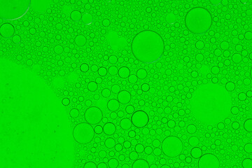 Macro microscope green bubble texture, Close-up Green bubbles and drops oil background . green green water bubbles, close up golden oil drop for cosmetic.