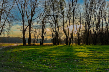 Fototapeta premium Field in Martely near Tisza