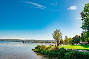 Sunny lakeside park with green grass and trees, people relaxing by the water under clear blue sky
