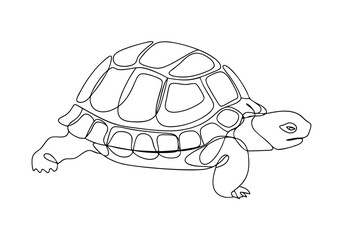 Continuous One Line Turtle | Minimalist Animal Vector Illustration