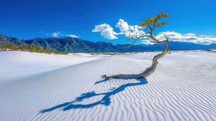 Lone Tree in White Sands Desert Against Dramatic Blue Sky with Vibrant Clouds and Mountains