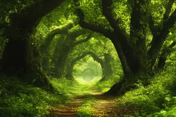 Fleecedeken met foto Lush green forest path, misty tunnel of trees, nature background, tranquility © kribbox