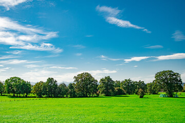 Green Bavarian field under blue summer sky