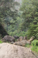 Scenic forest pathway with rocks & greenery