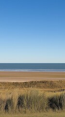 Beach dunes with clear sky and ocean line.  Possible use Stock photo for travel or landscape