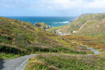 Winding path through heather-covered cliffs leading to a secluded Cornish cove with ocean views. British tourism.