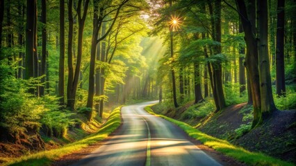Obraz premium Sunlit Path Through a Lush Green Forest with Winding Road