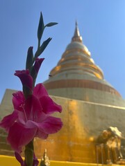 Beautiful pagoda at the temple, Chiang Mai, Thailand
