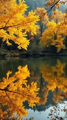 Fototapeta premium Reflections of golden maple leaves in serene lake, autumn nature, serene lake