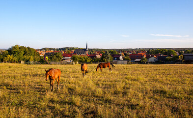 Königerode im Harz