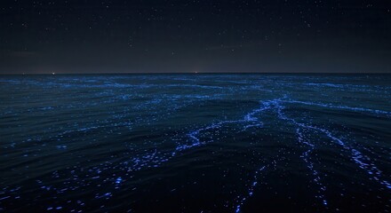 Obraz premium Bioluminescent Waves at Night Under Starry Sky Glowing Ocean Scene
