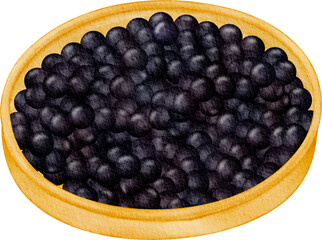 watercolor caviar