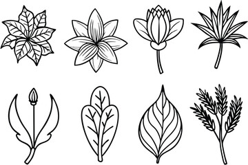Vintage Botanical Designs Highlighted By Delicate Line Art