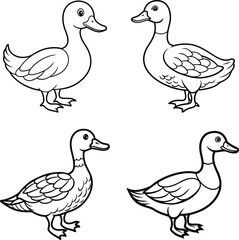 Cute Ducks line art Illustration coloring page