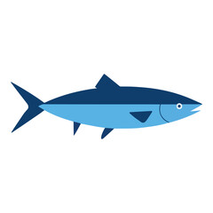 Saltwater fish flat design vector illustration. Fresh fish icon, perfect for seafood logos, restaurant branding, and fishing related designs.