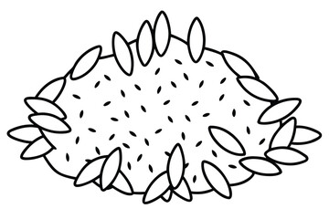 Rice Varieties Explore Flavors and Textures Line Art