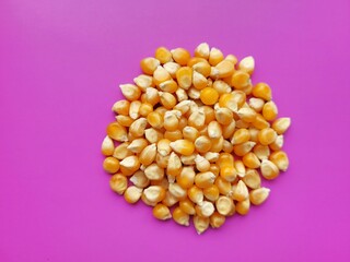 Raw pile of corn seeds on a violet background.