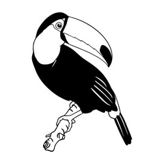 Black and white vector illustration of a toucan sitting on a tree branch. Perfect for tattoos, prints, exotic designs, nature lovers, and decorative art. © liza
