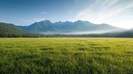 Fototapeta premium Serene sunrise over grassy meadow, mountain backdrop