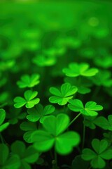 A field of lush green shamrocks with a few scattered four leaf clovers, greenery, field