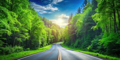 Serene Winding Road Through Lush Green Forest Canopy Under a Bright Sunny Sky