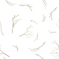 Tree branches with green spring buds. Watercolor digital illustration. Young tree branches isolated on white background. Seamless pattern, for postcards, greetings, kitchen and Easter theme.