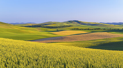 Fototapeta premium Lush green hills and fields under clear blue sky create serene landscape. vibrant colors evoke sense of tranquility and natural beauty