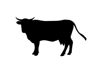 A black cow is dancing on a white background,