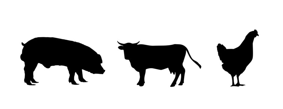 pig cow and chicken black silute on a white background,
