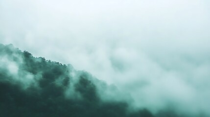 Misty Mountain Forest Enveloped In Clouds