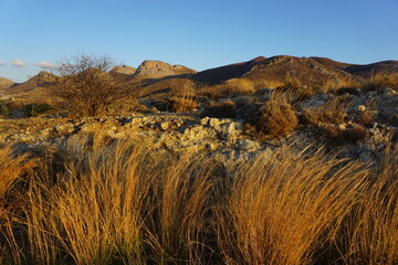 Beautiful background of a natural landscape of Crete with a view from the road with golden earth colors - Shadowed rocky peaks under the blue sky show a typical view of the island's natural beauty