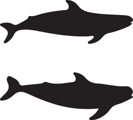 silhouette of a dolphin