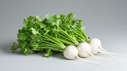 Fresh white radishes with greens, studio shot, food photography