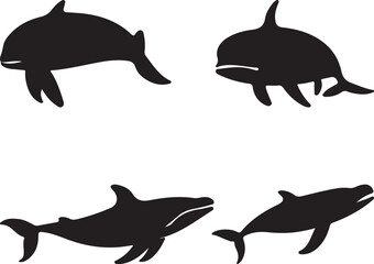 silhouette of a shark