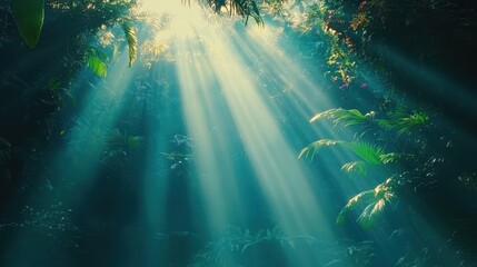 Sunbeams Illuminate Lush Tropical Rainforest Canopy