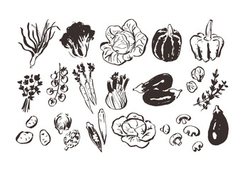 Line art vegetable icons, hand drawn outline illustrations