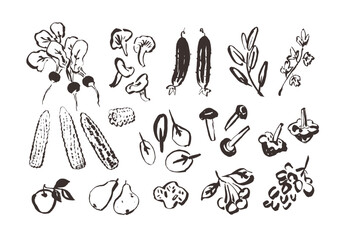 Line art vegetable icons, hand drawn outline illustrations