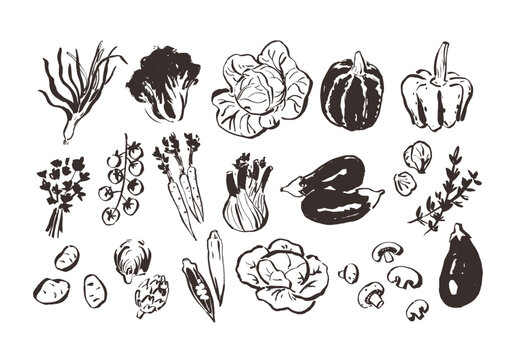 Line art vegetable icons, hand drawn outline illustrations