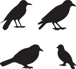 birds silhouettes set
